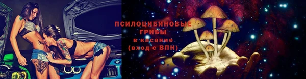 стафф Вяземский