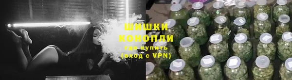 spice Горняк