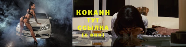 стафф Вяземский