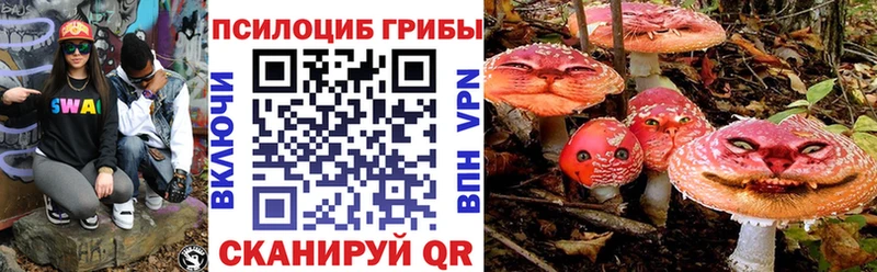 Галлюциногенные грибы Psilocybine cubensis  где найти   hydra как зайти  Заозёрск 