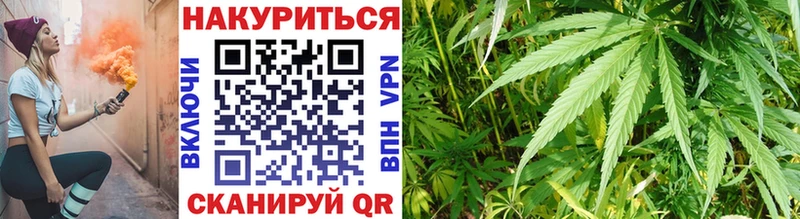 дарнет шоп  Заозёрск  Бошки Шишки тримм 